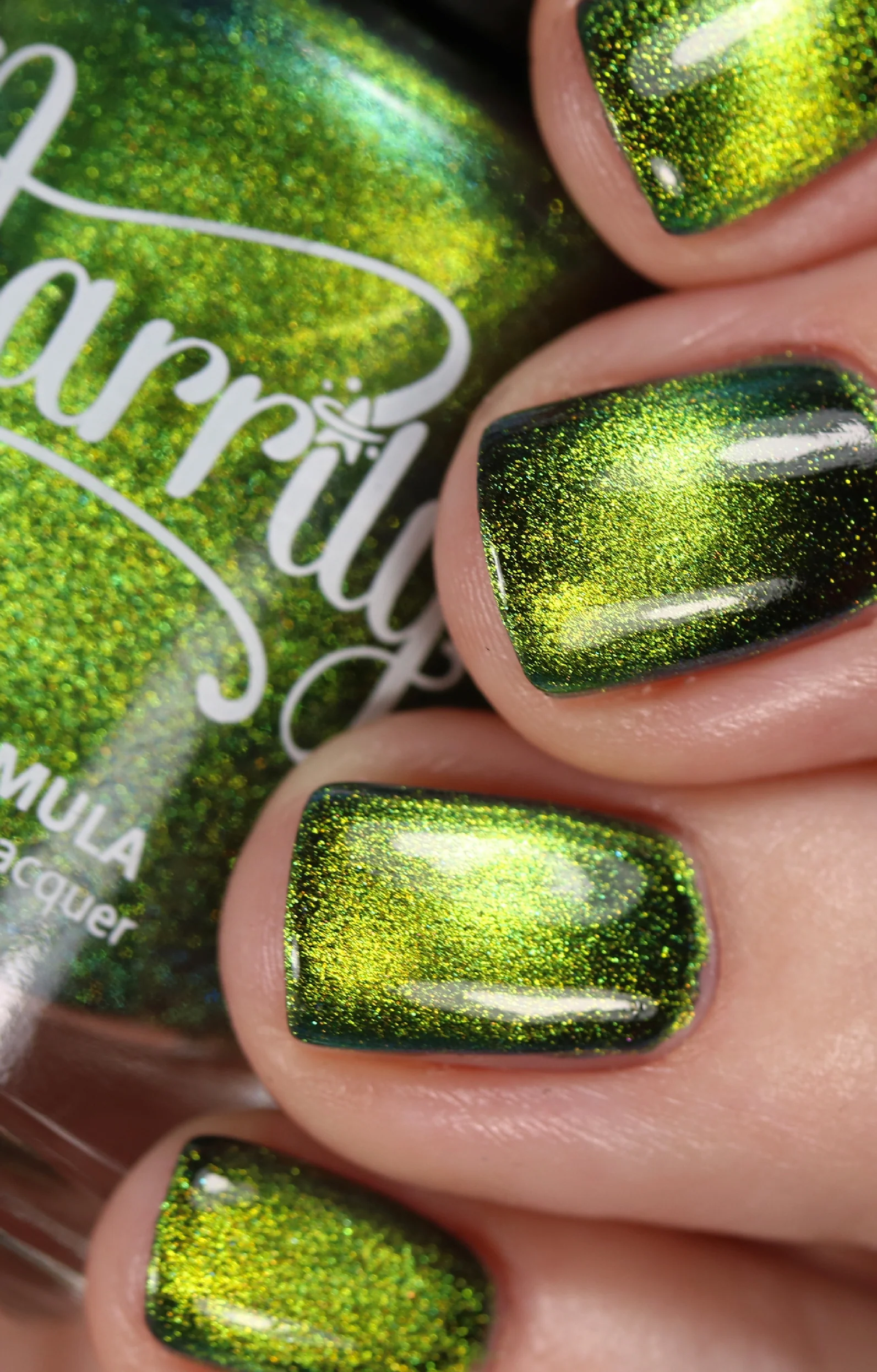 Absinthe - Image 11