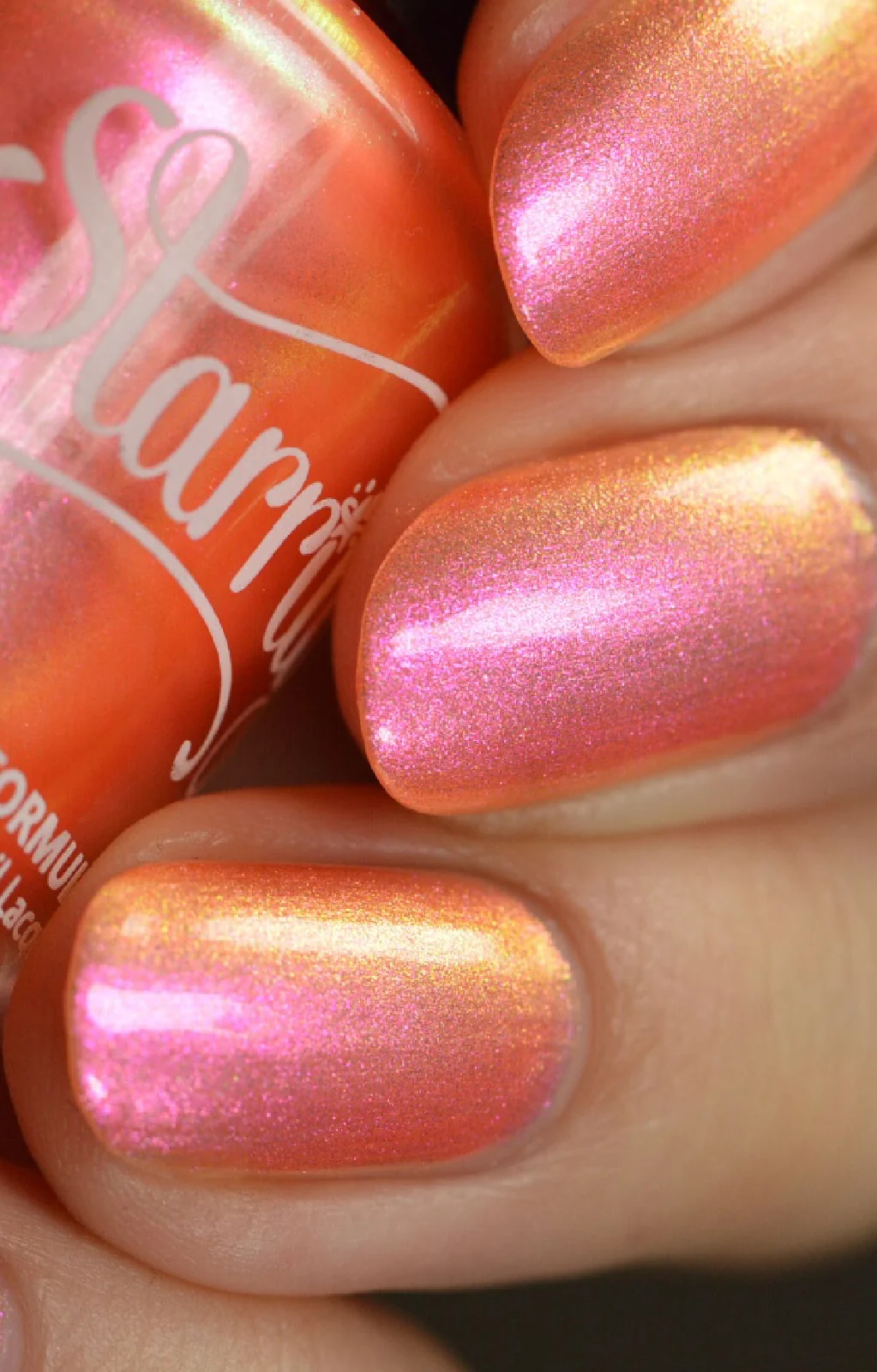Moon Sugar - Image 4