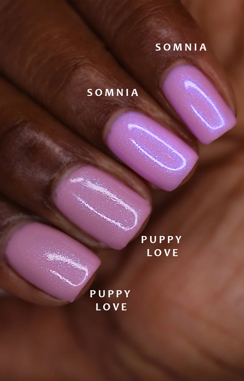 Puppy Love - Image 9
